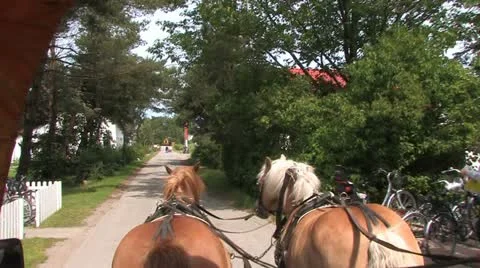 Baltic Sea Coast, Germany Video stock 11906729