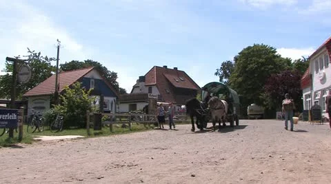 Baltic Sea Coast, Germany 動画素材 11906780