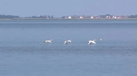 Baltic Sea Coast, Germany 動画素材 11906863