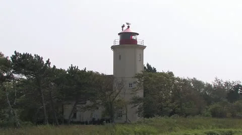 Baltic Sea Coast, Germany 库存影片 11907155