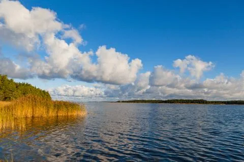 Baltic sea coast at sunset. Dramatic clouds, forest view. Foto stock