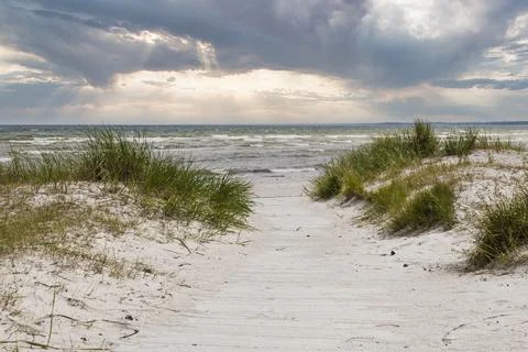 Baltic Sea Dune Path to Sandy Beach with Sea Grass and Dramatic Stormy Sky Stock Photos