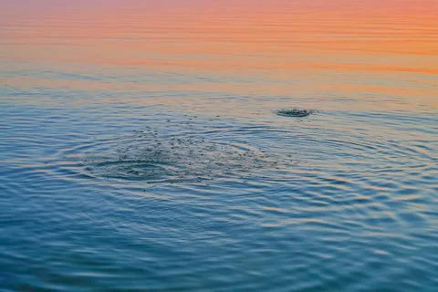 The Baltic Sea during sunset. Splashes on the surface of the water. Natural Stock Photos
