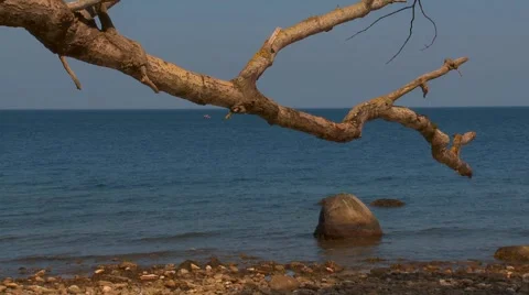 Baltic sea Stock Footage 6229833
