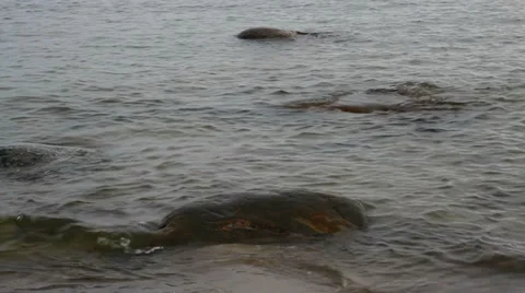 At the Baltic sea. Stockbeeldmateriaal 34344151