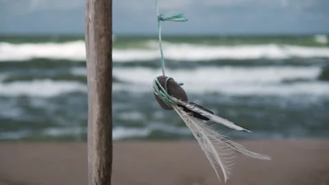 Baltic sea Stock Footage 260244853