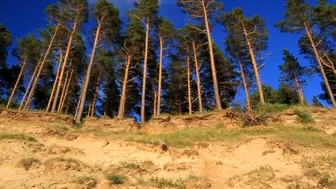 Baltic Sea Video stock 287737172