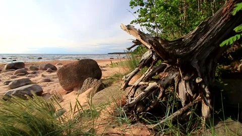 Baltic Sea Video stock 287858039