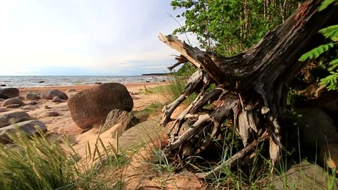 Baltic Sea Video stock 287858040