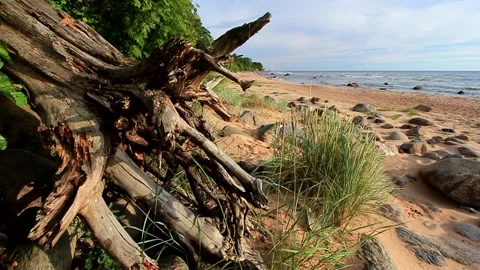 Baltic Sea Video stock 287858046
