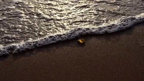 Baltic Sea Video stock 287858103