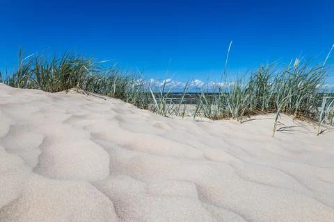 Baltic sea landscape with sandy beach and dunes with grass Stock Photos