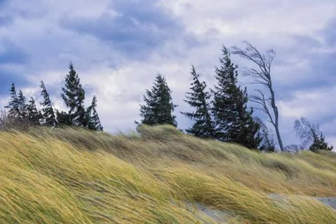 Baltic sea Stock Photos