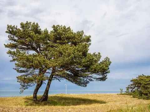 Baltic sea Stock Photos