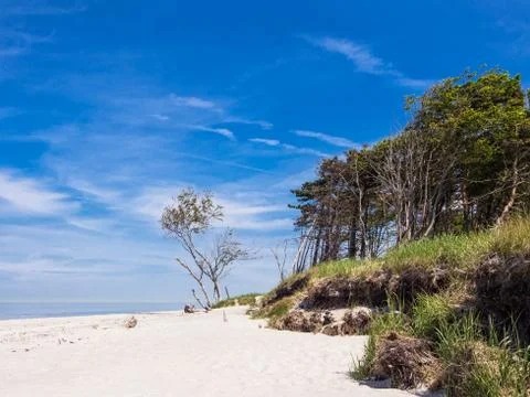 Baltic sea Stock Photos