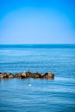 The Baltic Sea Stock Photos