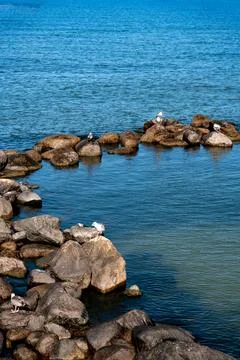 The Baltic Sea Stock Photos