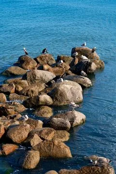The Baltic Sea Stock Photos