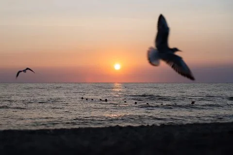 Baltic sea 写真素材