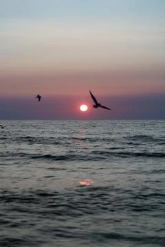 Baltic sea 写真素材