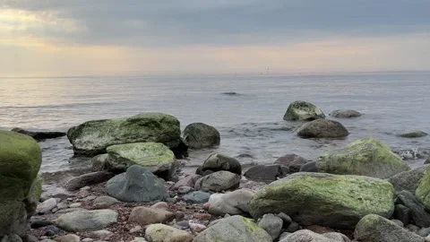 Baltic Sea Rocks at Evening Light Stock Footage 320370502
