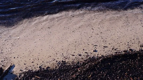 Baltic sea shore in spring slow motion Stock Footage 89472572