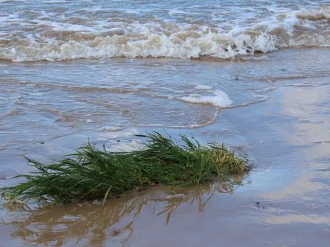 Baltic sea waves Stock Photos