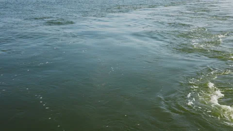 Baltic sea in the windy day Stock Footage 314763492