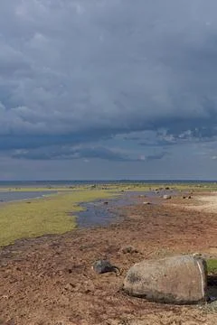 Baltic seashore. Stock Photos