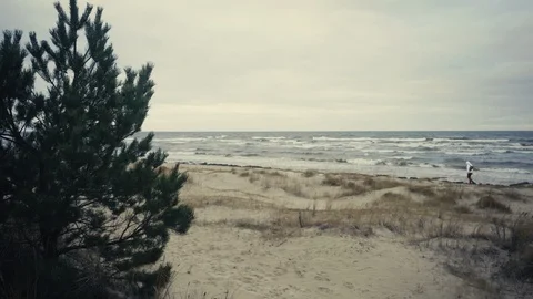 Baltic winter storm on a background of sand dunes Stock Footage 122819118