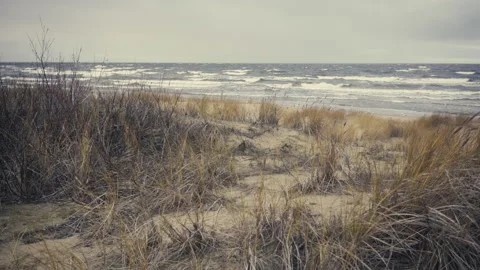 Baltic winter storm on a background of sand dunes Stock Footage 132968327