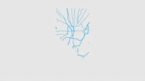 Baltimore City Line Map Self Drawing Animated Overlay, Alpha 4K 스톡 동영상 340286435