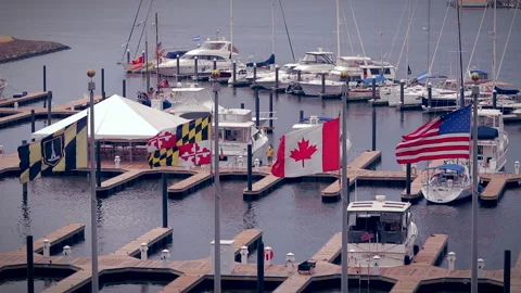 Baltimore Harbor flags waving in the breeze above the marina Stock Footage 197394217
