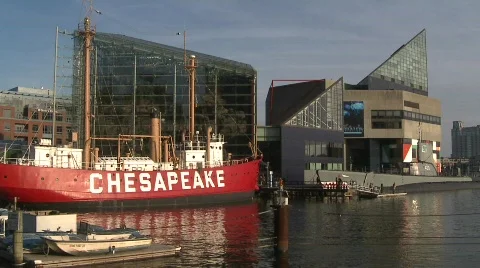 Baltimore Harbor 库存影片 649925