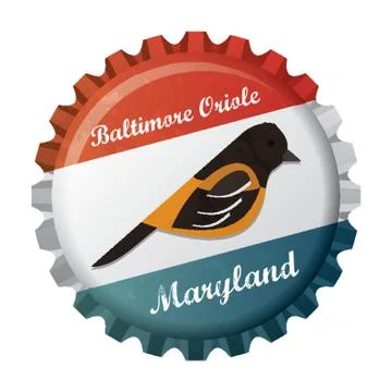 Baltimore oriole Stock Illustration