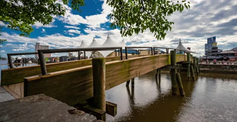 Baltimore Pedestrian Bridge Video stock 197918013