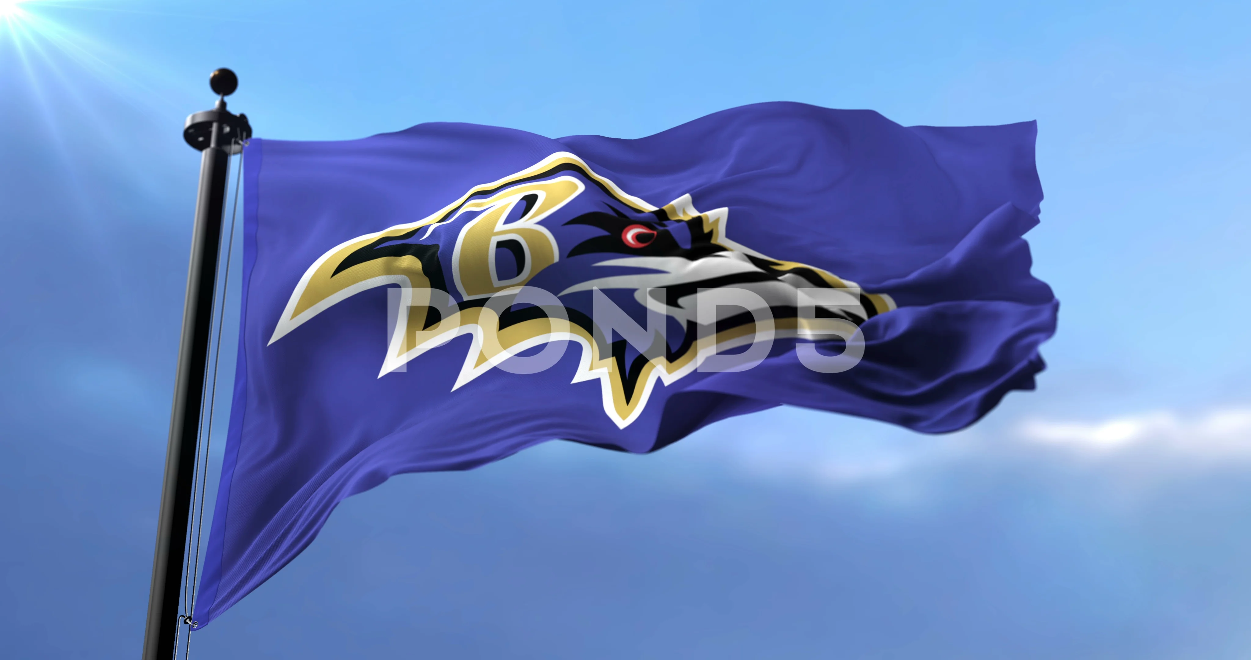 Baltimore Ravens flag, american football, Stock Video