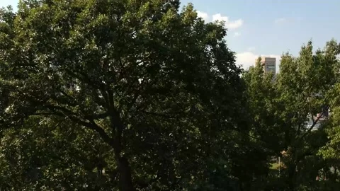 Baltimore skyline - drone Stock Footage