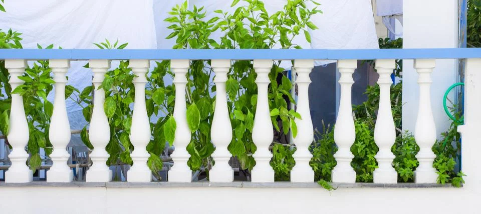 Balustrade wall Stock Photos