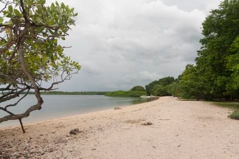 BAMA BEACH Stock Photos