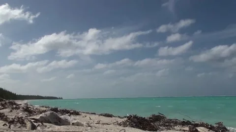 Bambarra Beach Stock Footage 168358435