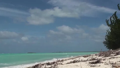 Bambarra Beach Stock Footage 168358750