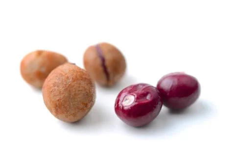 Bambarra groundnut Foto stock