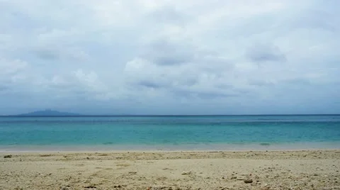 Bamboo 004 Vidéo 11089103