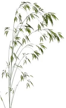 Bamboo - 3D render Stock Illustration