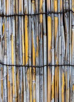 Bamboo abstract background. Texture of aged bamboo Stock Photos