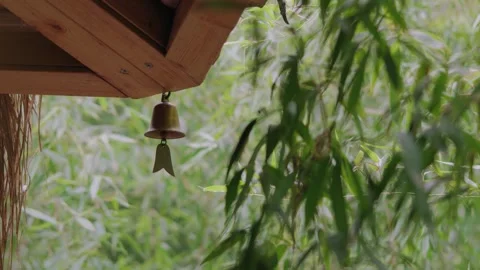 Bamboo and Ancient Architecture in a Tranquil Zen Meditation Garden Afternoon Stock Footage 341923304