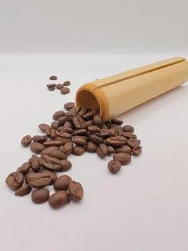 Bamboo and coffee beans composition on white background Stock Photos