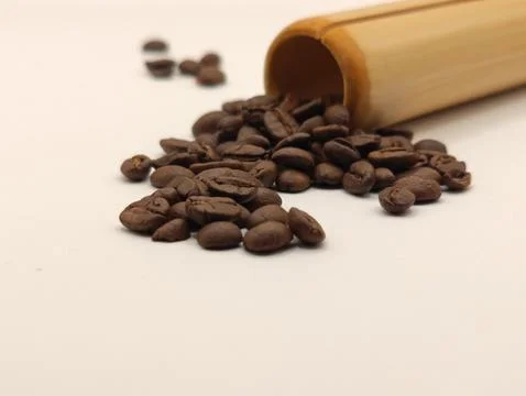 Bamboo and coffee beans Stock Photos
