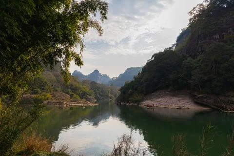Bamboo and pine trees growing on a rocky cliff within the Wuyishan Stock Photos